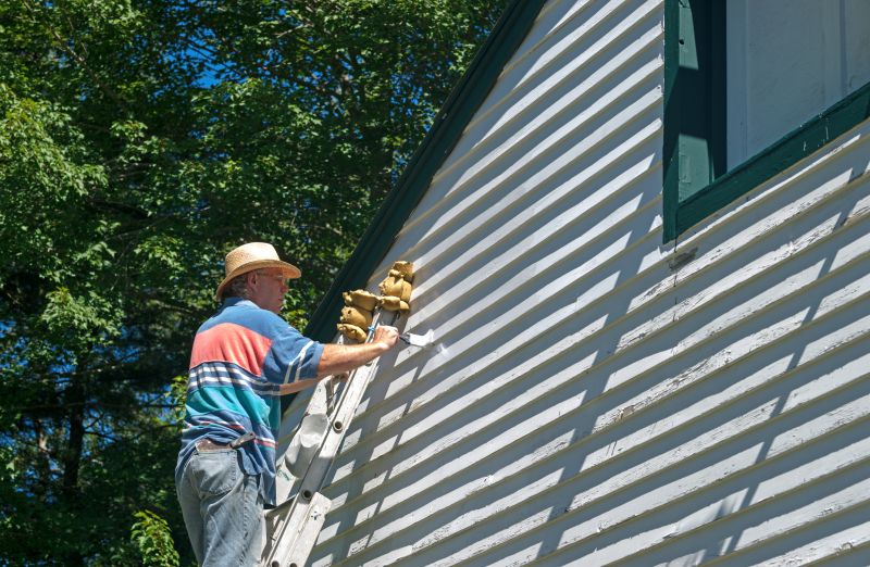 Siding and Exterior Wall Painting