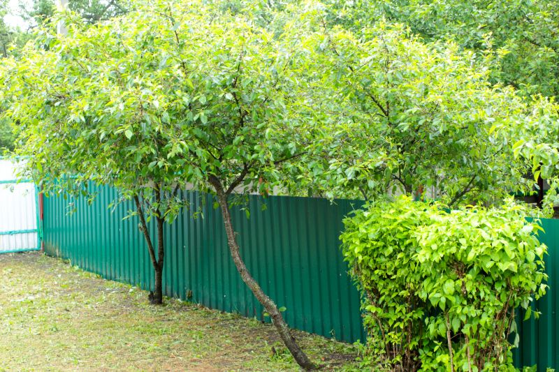 Fence and Garden Boundary Painting