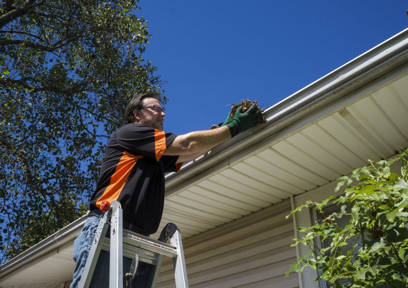 Gutter Painting Service